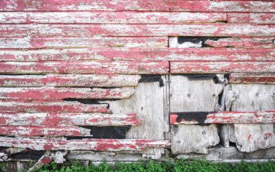 What Really Is the Cost of Reclaimed Wood?