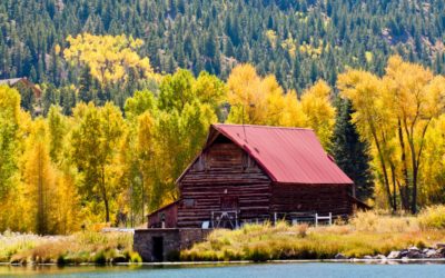 Abandoned Places In Denver Could Yield Amazing Reclaimed Wood