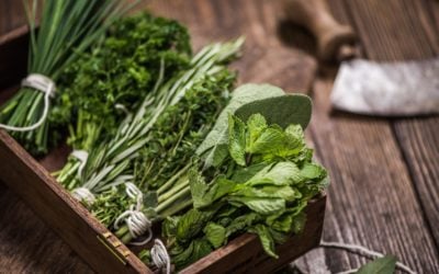Building Herb Gardens With Reclaimed Wood