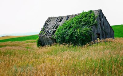 The Top Most Asked Questions About Reclaimed Wood