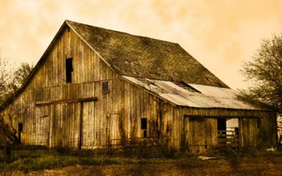 Holding onto the Past of Reclaimed Wood