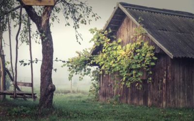 Places In Colorado For Unique Reclaimed Wood