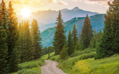 Who is Rocky Mountain Reclaimed?