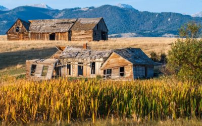 5 Misconceptions About Reclaimed Wood